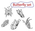 Set of fluttering and beautiful butterflies and hand-drawn coloring pattern. Royalty Free Stock Photo